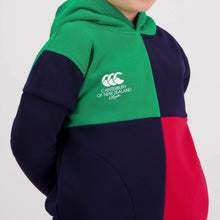 Load image into Gallery viewer, Canterbury Harlequin Kids Hoodie - Assorted