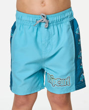 Load image into Gallery viewer, Rip Curl Boys Paddle Out Panel Volley - Wave Pool
