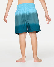 Load image into Gallery viewer, Rip Curl Toddler Dip Volley Shorts (1-6) - Blue Green
