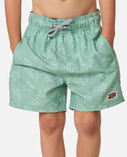 Load image into Gallery viewer, Rip Curl Boys Ocean Party Volley -  Aloe
