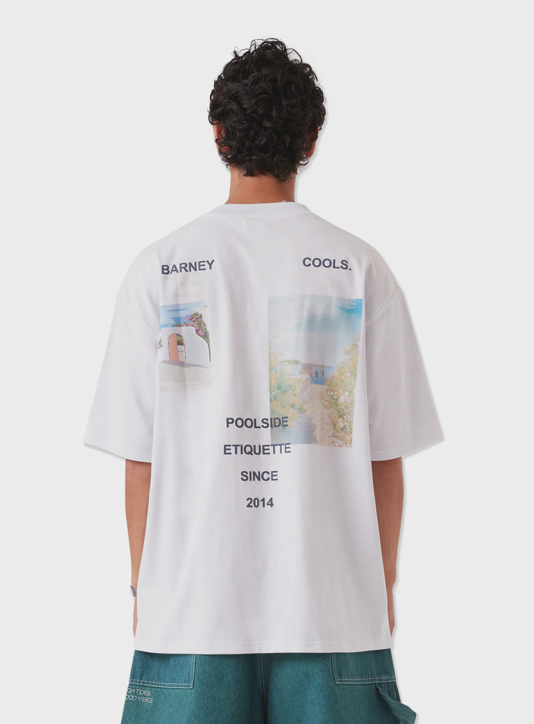 Barney Cools Scenic Tee - White