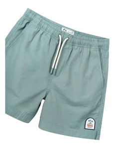 Industrie The All Day Swim Trunk - Algae