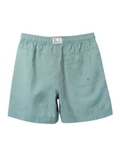 Load image into Gallery viewer, Industrie The All Day Swim Trunk - Algae

