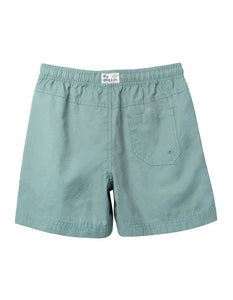 Industrie The All Day Swim Trunk - Algae