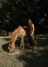 Load image into Gallery viewer, Afends Focus Seersucker Maxi Dress - Coffee
