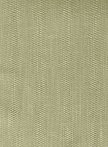 Esmaee Misconcept Blazer - Soft Olive