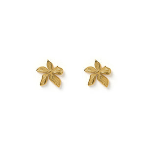 Arms Of Eve Lily Gold Earrings