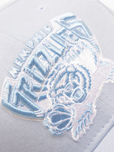 Load image into Gallery viewer, Mitchell &amp; Ness Seasonal Pro Crown Grizzlies Hat - Sky Blue
