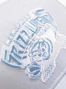 Mitchell & Ness Seasonal Pro Crown Grizzlies Hat - Sky Blue