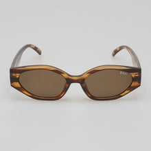 Load image into Gallery viewer, ROC Eyewear Trait Sunglasses - Brown Striped Brown
