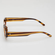 Load image into Gallery viewer, ROC Eyewear Trait Sunglasses - Brown Striped Brown
