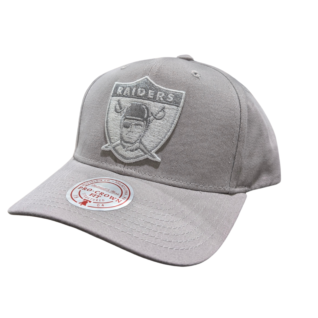 Mitchell & Ness Las Vegas Raiders Seasonal Pro Crown Cap - Sterling