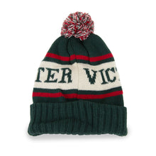 Load image into Gallery viewer, American Needle VB Pillow Line Beanie - Dark green
