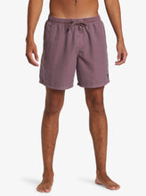 Load image into Gallery viewer, Quiksilver Everyday Surfwash Volley 17&quot; Swim Shorts
