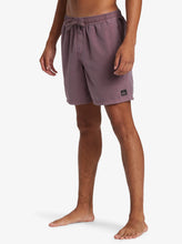 Load image into Gallery viewer, Quiksilver Everyday Surfwash Volley 17&quot; Swim Shorts
