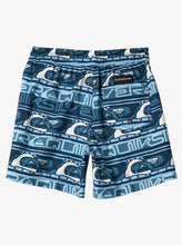 Load image into Gallery viewer, Quiksilver Youth Next Gen 12&quot; Swim Shorts - Clear Sky
