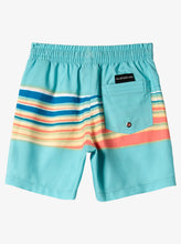 Load image into Gallery viewer, Quiksilver Youth Everyday Mix 12&quot; Swim Shorts
