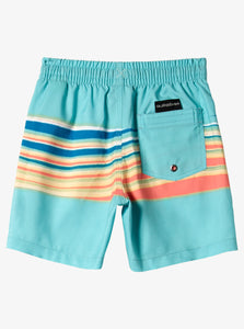 Quiksilver Youth Everyday Mix 12" Swim Shorts