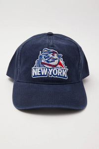 American Needle NY Baseball Surplus Hat