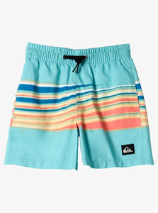 Quiksilver Youth Everyday Mix 12" Swim Shorts