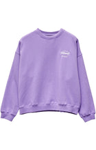 Load image into Gallery viewer, Stussy Soul Crew Fleece - Grape
